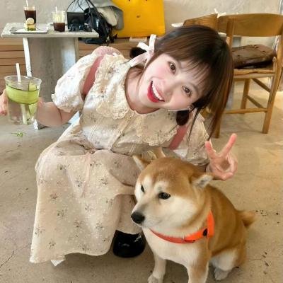脱线春香传